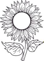 وکتور برداری گل آفتابگردان همراه با رنگ آمیزی و نقاشی