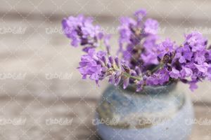 تصویر با کیفیت گل اسطوخودوس همراه با گل طبیعی و گل زیبا