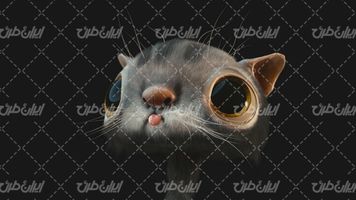 تصویر با کیفیت حیوان همراه با سنجاب و باغ وحش