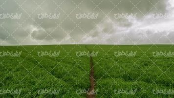 تصویر با کیفیت مزرعه همراه با زمین کشاورزی و آسمان ابری