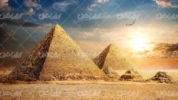 تصویر با کیفیت منظره زیبای اهرام ثلاثه مصر همراه با جاذبه گردشگری و پرنده