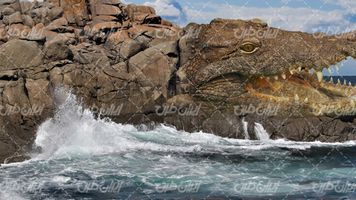 تصویر با کیفیت منظره زیبای دریا همراه با صخره و تمساح غول پیکر