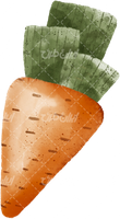 تصویر با کیفیت هویج همراه با میوه و میوه کارتونی