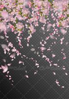 وکتور برداری شکوفه بهاری همراه با فصل بهار و گلبرگ شکوفه