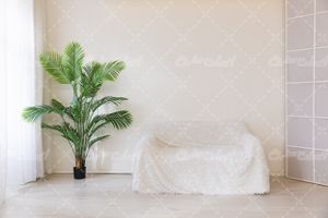 تصویر با کیفیت دکوراسیون داخلی همراه با مبل و گل آپارتمانی