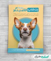 طرح لایه باز تراکت پت شاپ