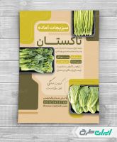 طرح لایه باز تراکت سبزیجات آماده