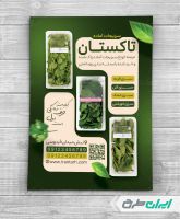 طرح لایه باز تراکت سبزیجات آماده