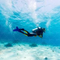 قواصی دنیای زیر آب دنیای زیر دریا کپسول اکسیژن