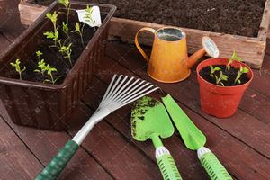 تجهیزات باغبانی چنگک کندن خاک بیلچه خاک گل