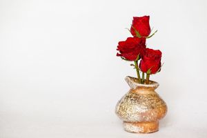 گل رز گلدان