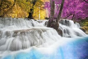 طبیعت جنگل آبشار رودخانه