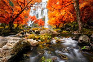 منظره آبشار و جنگل در پاییز