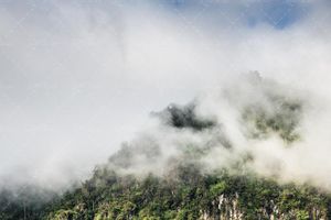 منظره کوه جنگلی در مه