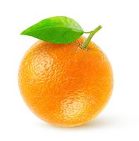 پرتقال میوه فروشی میوه میدان بار 2