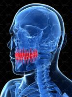 بهداشت دهان و دندان درد دندان دندان پزشکی