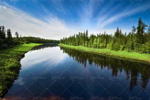 منظره و طبیعت زیبای جنگل و دریاچه