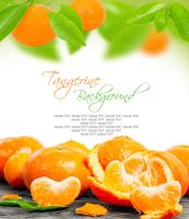 میوه میوه فروشی نارنگی