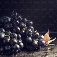 خوشه انگور انگور سیاه میوه