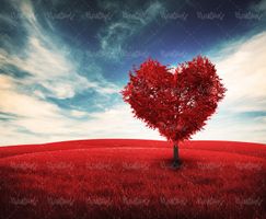 طبیعت پاییز درخت قلبی مزرعه