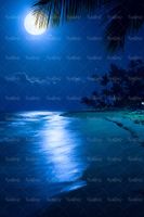 شب مهتابی ساحل دریا ماه کامل دریا