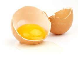 تخم مرغ محلی پروتئینی زرده تخم مرغ
