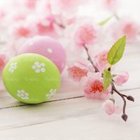 شکوفه بهاری گل بهاری تخم مرغ عید نوروز