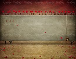 گل قرمز گلبرگ دیوار بک گراند