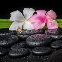 گل حوله مساژ درمانی خدمات ماساژ