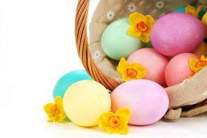 تخم مرغ رنگی تخم مرغ عید نوروز
