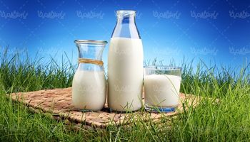 شیر فرآورده های لبنی