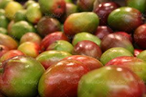 انبه میوه فروشی سوپر میوه میوه سرا