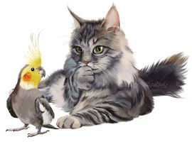 گربه طوطی نقاشی حیوانات