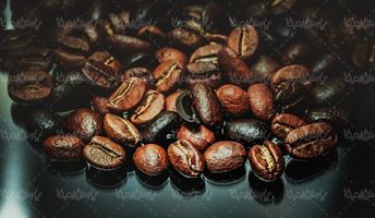 فنجان قهوه دانه های فرآوری شده قهوه