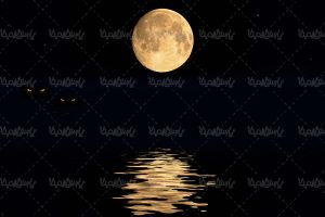 قرص ماه شب مهتاب تصویر ماه در آب