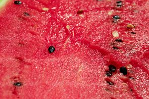 هندوانه میوه فروشی میوه تابستانی