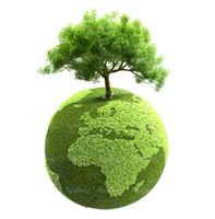 کره زمین سبزه زار درخت حفظ درختان