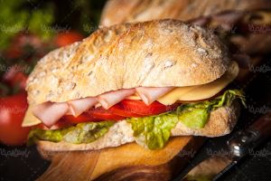 فست فود رستوران اغذیه