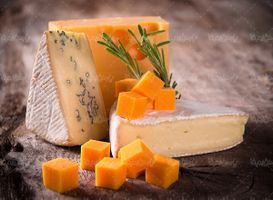 پنیر لبنیات فرآورده های لبنی