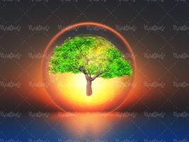 درخت منابع سبز حفاظت از محیط زیست