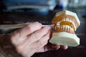 دندان پزشکی ماکت دندان مولاژ آموزش مراقبت از دندان