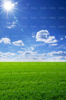 منظره بهاری مزرعه آسمان آبی چشم انداز تابش خورشید2