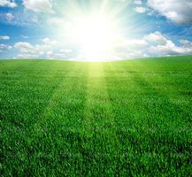 منظره بهاری مزرعه آسمان آبی چشم انداز تابش خورشید3