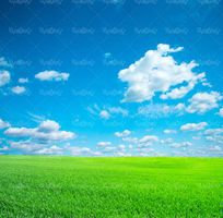 منظره بهاری مزرعه آسمان آبی چشم انداز تابش خورشید6