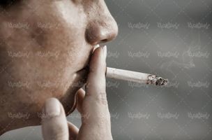 آناتومی بدن انسان شش ریه تنفسی عوارض دود سیگار3