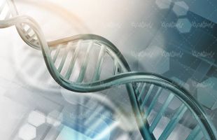 ساختار دی ان ای پزشکی DNA عامل وراثت