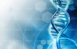 ساختار دی ان ای پزشکی DNA عامل وراثت2