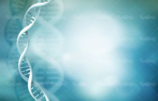 ساختار دی ان ای پزشکی DNA عامل وراثت4