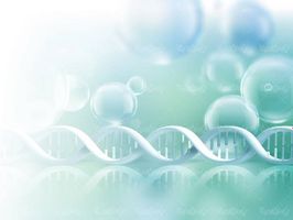 ساختار دی ان ای پزشکی DNA عامل وراثت5