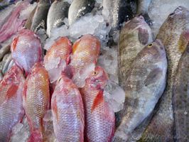 ماهی فروشی شیلات پروتئینیگوشت ماهی گوشت سفید1